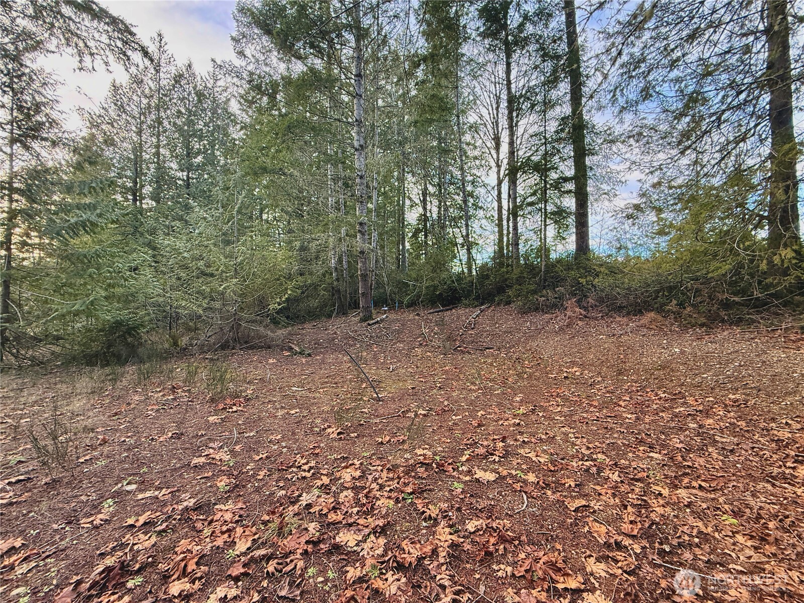 680 Highway 302 Allyn, WA 98524 - Photo 24 of 34