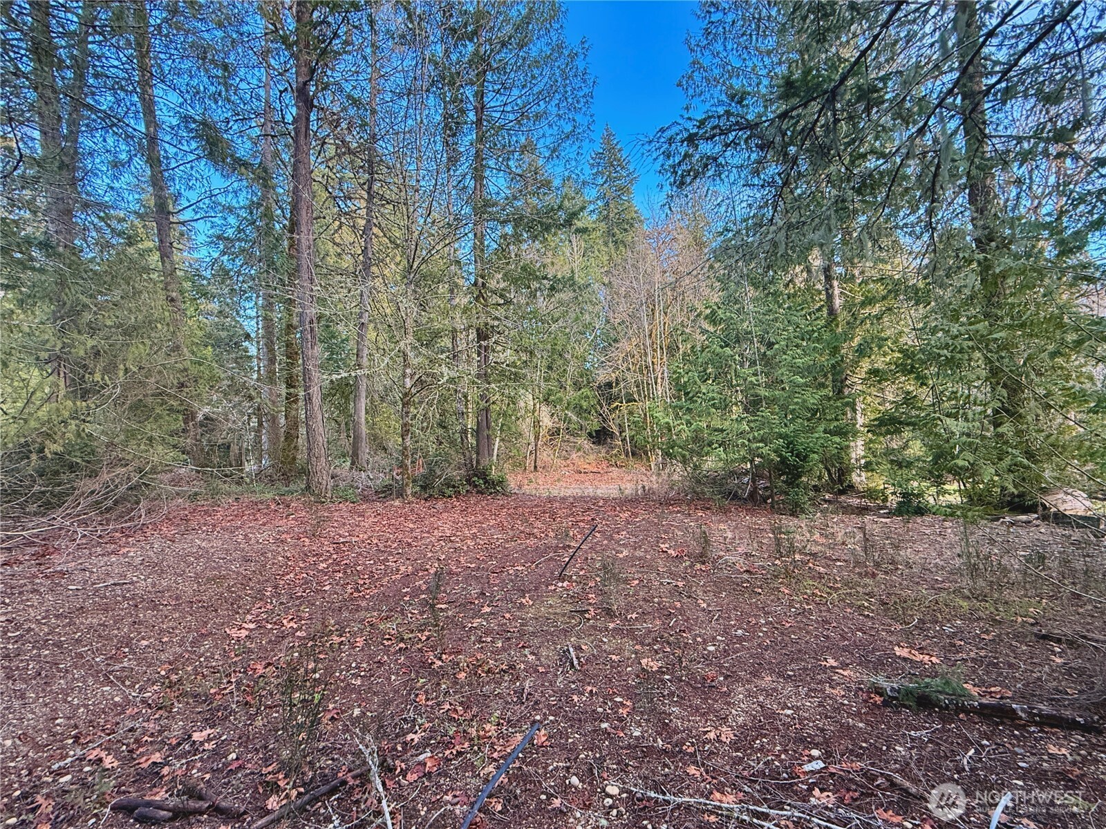 680 Highway 302 Allyn, WA 98524 - Photo 25 of 34