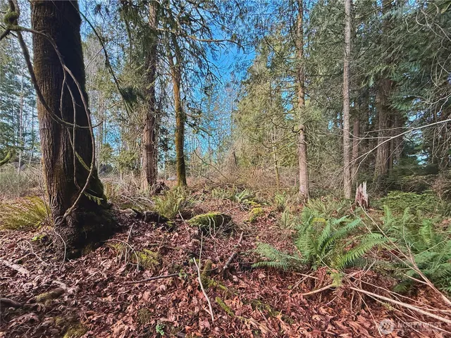 a view of a yard with wooden fence