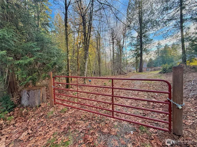 a view of a yard with trees in the background