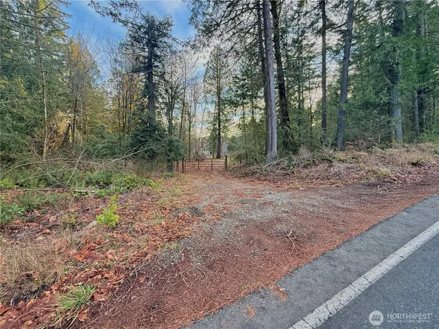a view of a yard with a house and large trees