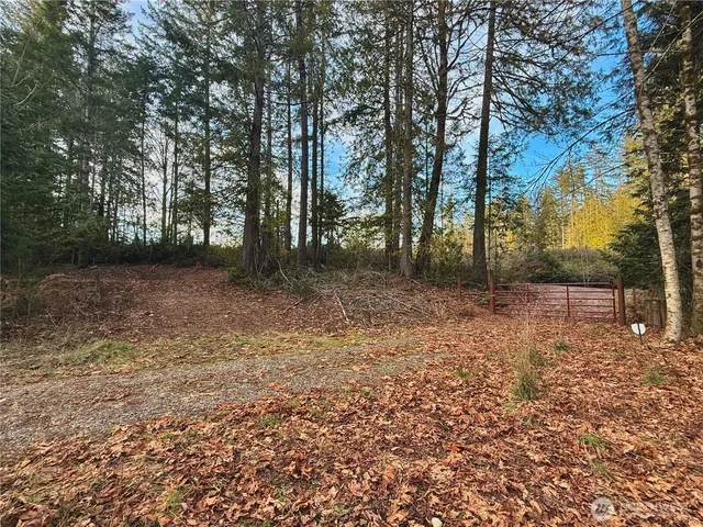 a view of a backyard with trees