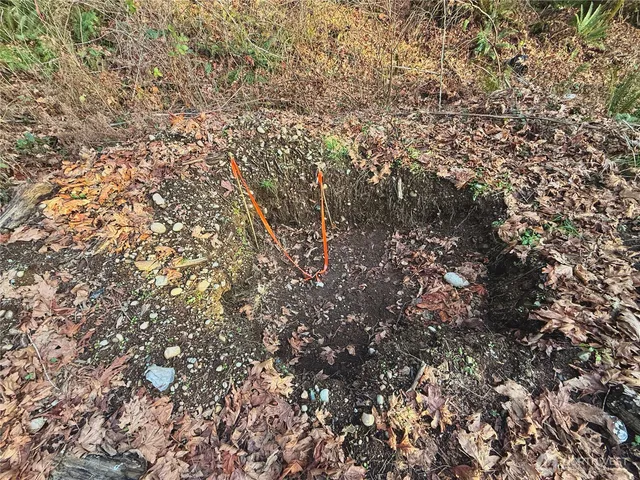 a view of a tree in a field