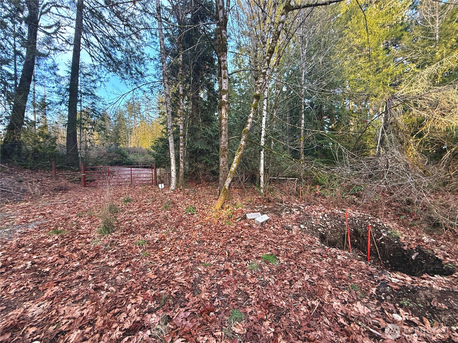 680 Highway 302 Allyn, WA 98524 - Photo 10 of 34