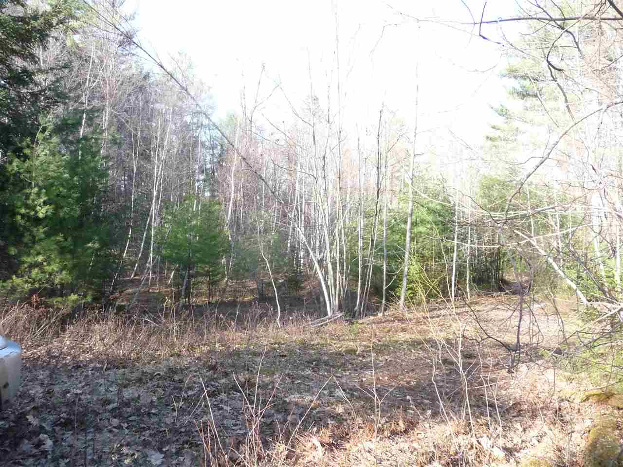 156 Chalk Pond Road Newbury, NH 03255 - Photo 2 of 14
