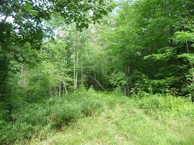 156 Chalk Pond Road Newbury, NH 03255 - Photo 13 of 14