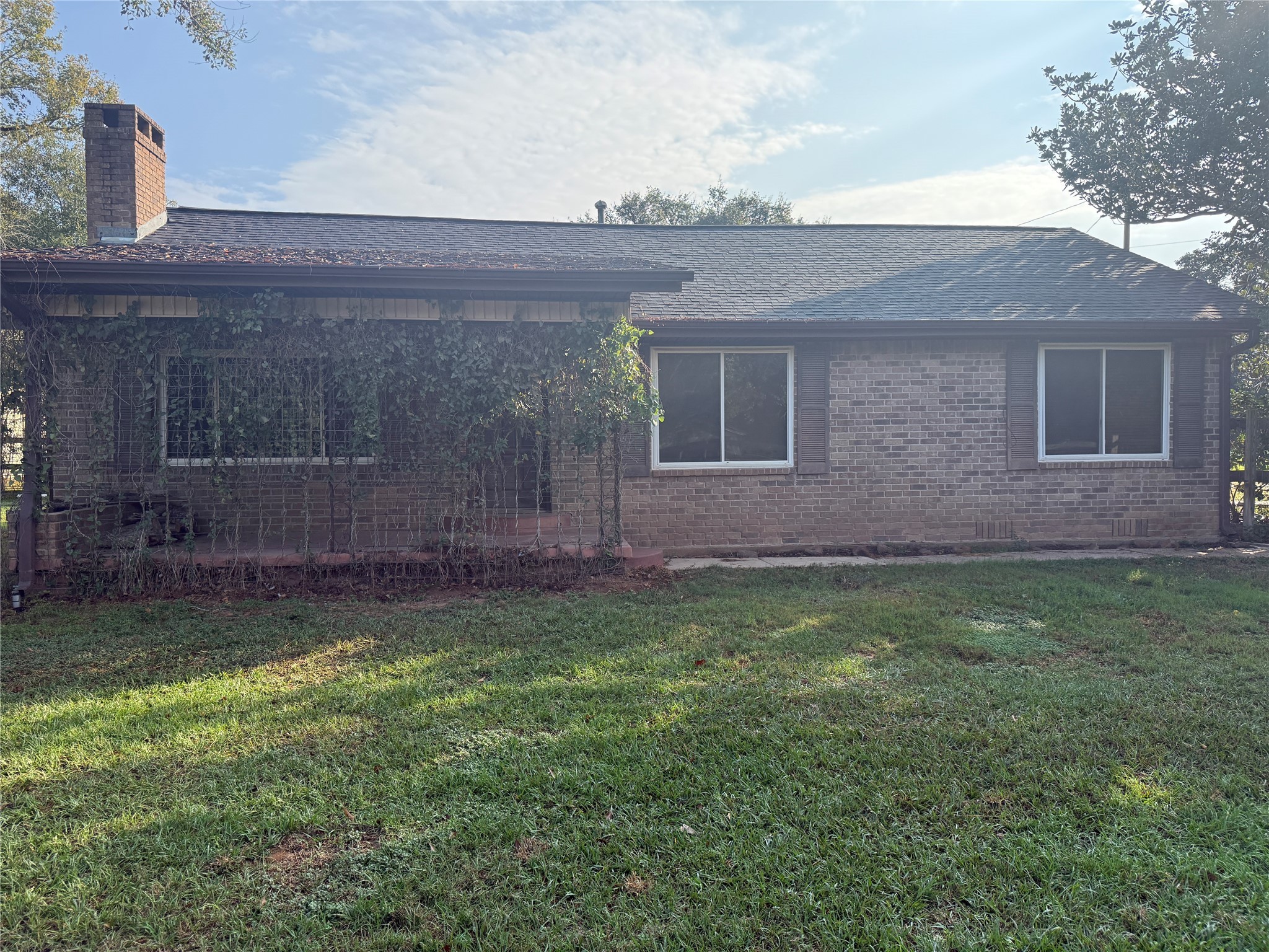 a view of a backyard with plants and large trees