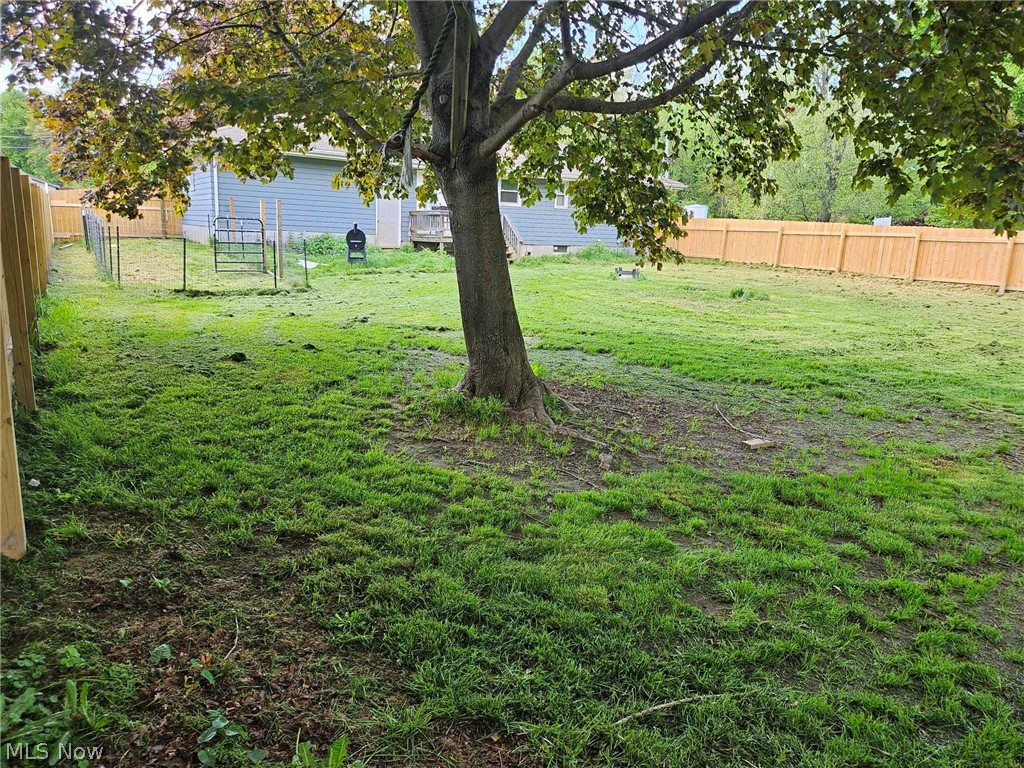 346 Amboy Road Conneaut, OH 44030 - Photo 40 of 41 View of yard