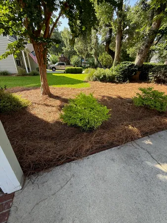 $699,900 | 213 Ashmont Drive, Wando, SC 29492