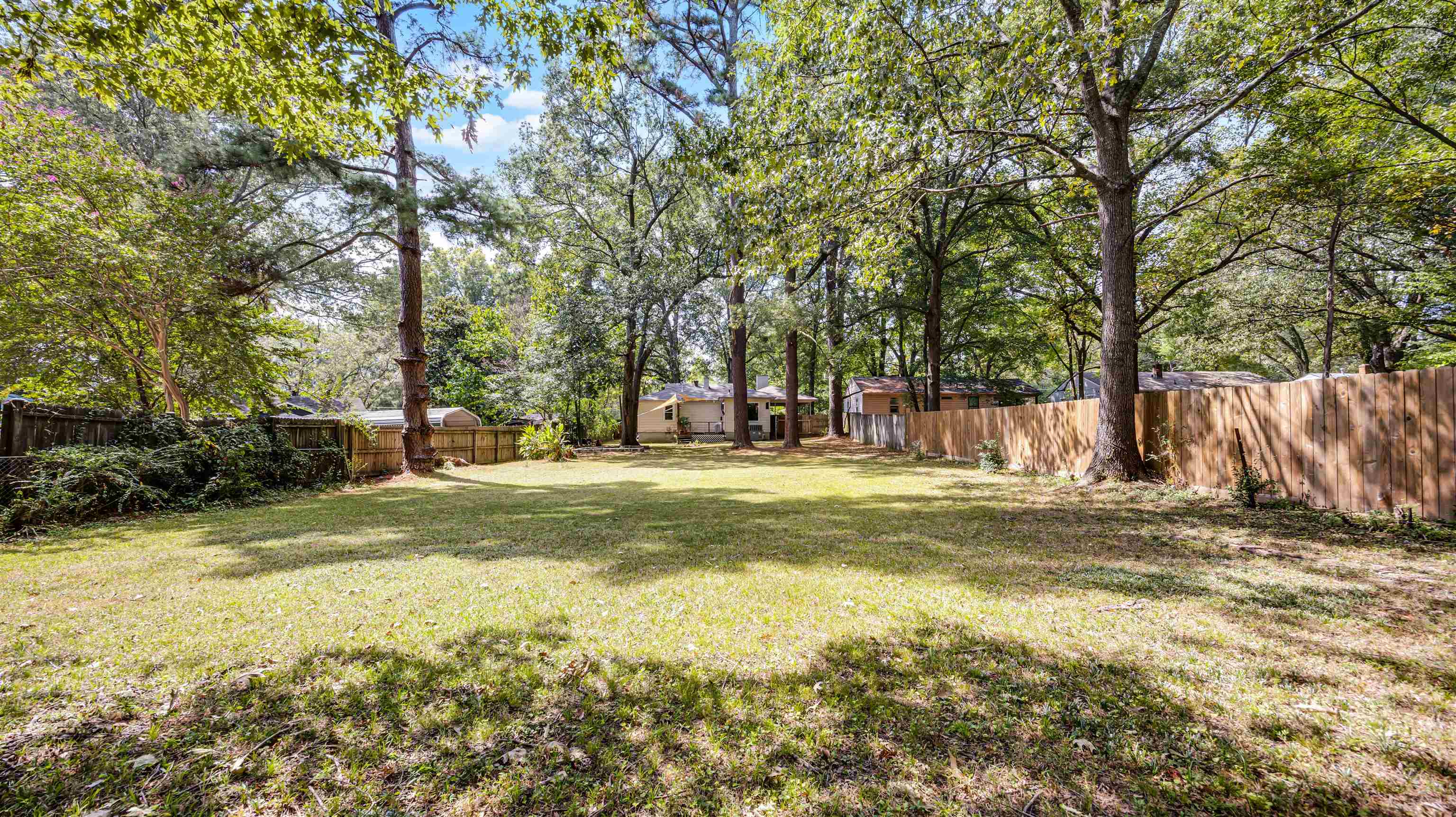 144 Sycamore Road Collierville, TN 38017 - Photo 10 of 11 a view of a yard with large trees