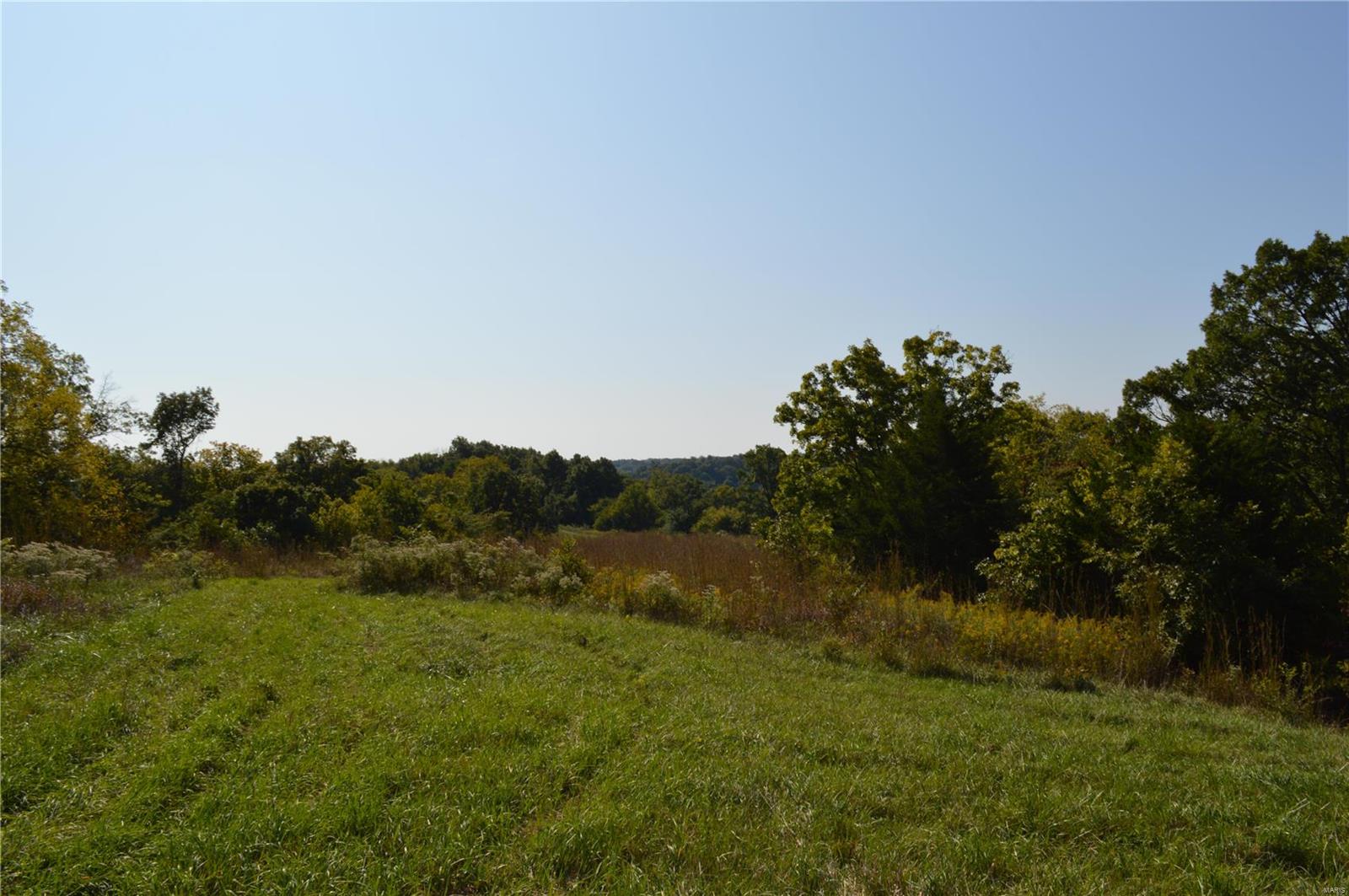 5145 Hamburg-Michael Road Michael, IL 62065 - Photo 13 of 30 Gallery Image 13