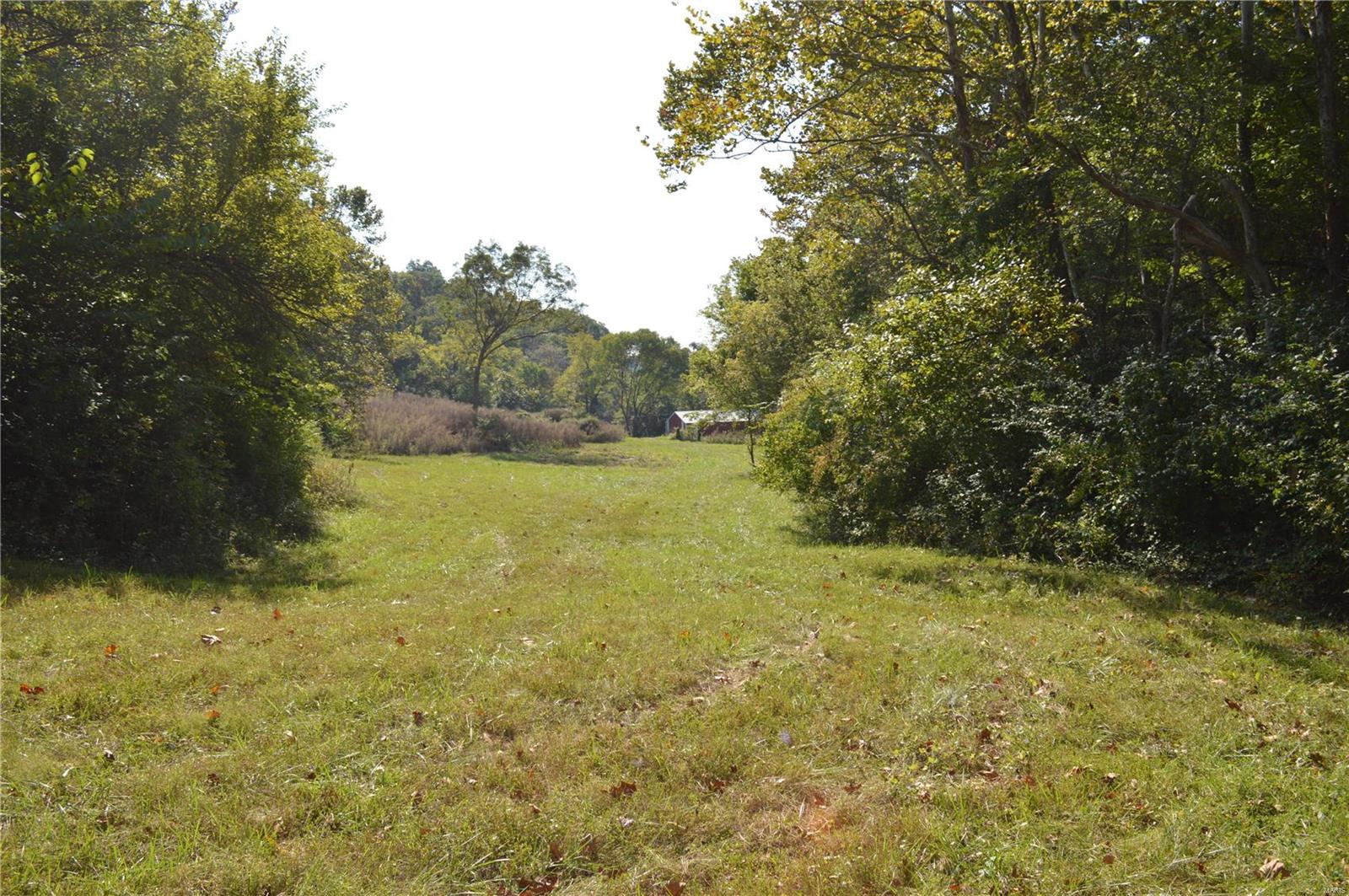 5145 Hamburg-Michael Road Michael, IL 62065 - Photo 19 of 30 Gallery Image 19