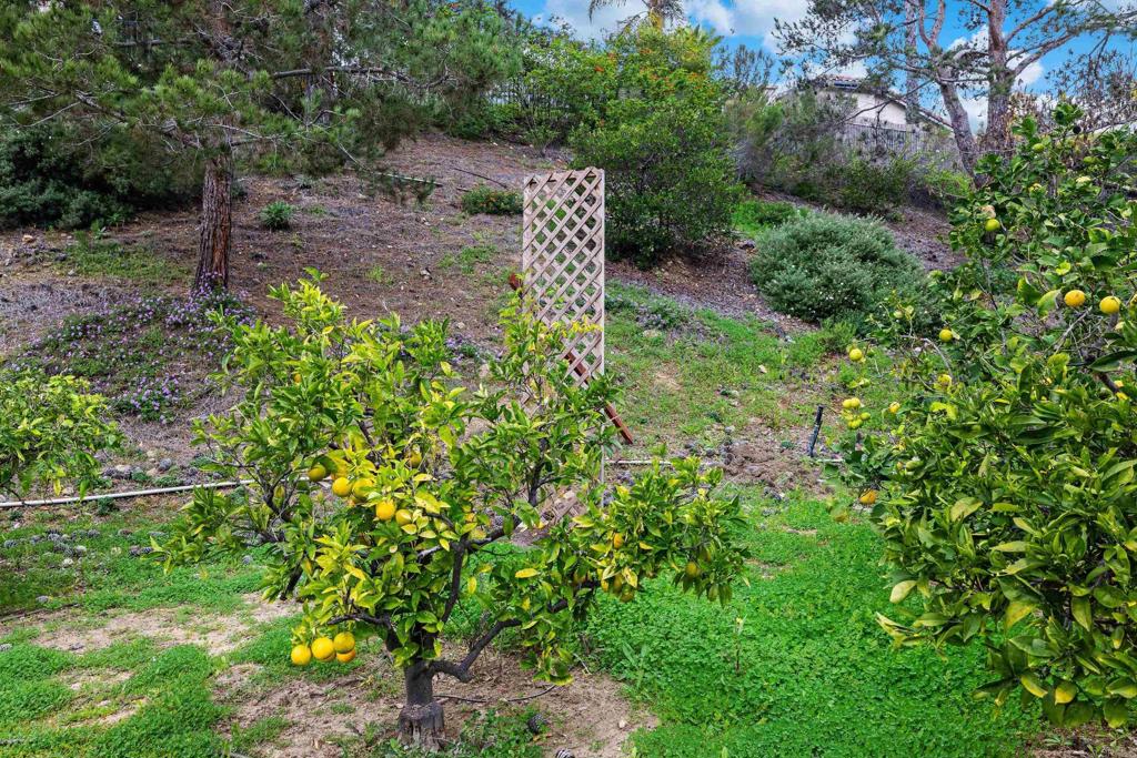 732 Poppy Road San Marcos, CA 92078 - Photo 43 of 53