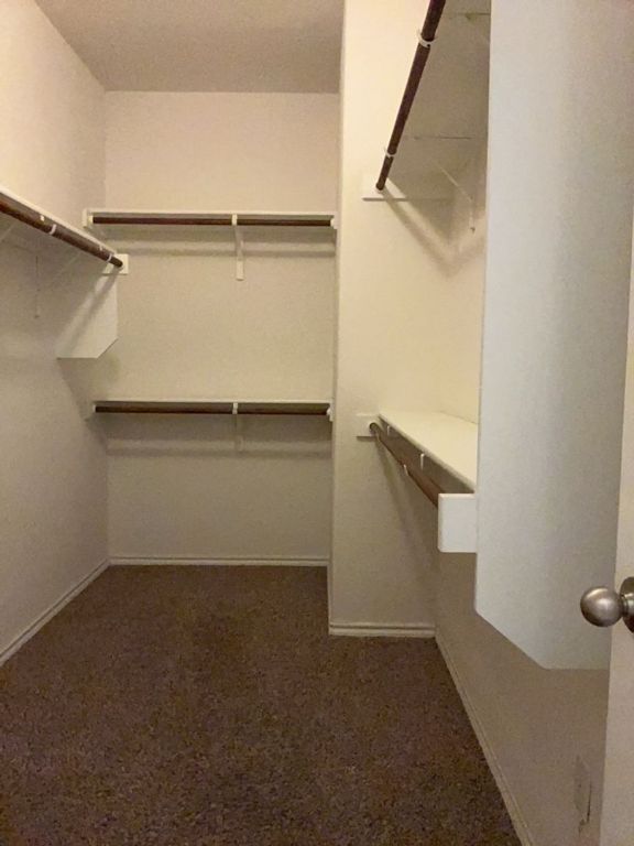 2105 Town Centre Drive, Unit 28 Round Rock, TX 78664 - Photo 24 of 28 Walk-in closet