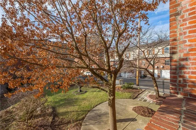 a view of a yard with plants and trees