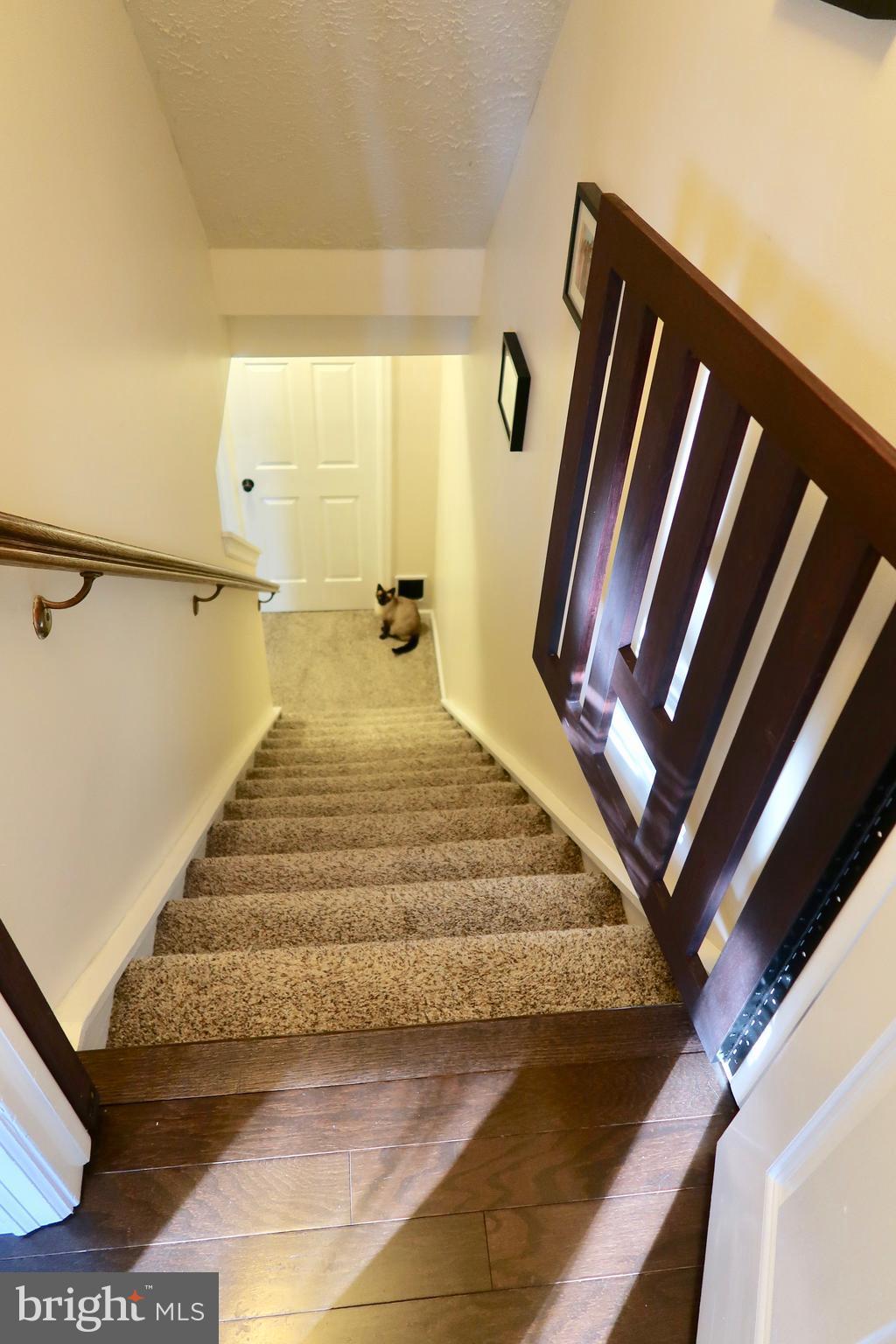 8512 Golden Ridge Court Lorton, VA 22079 - Photo 18 of 28 New Carper LL Stairs and Family Room