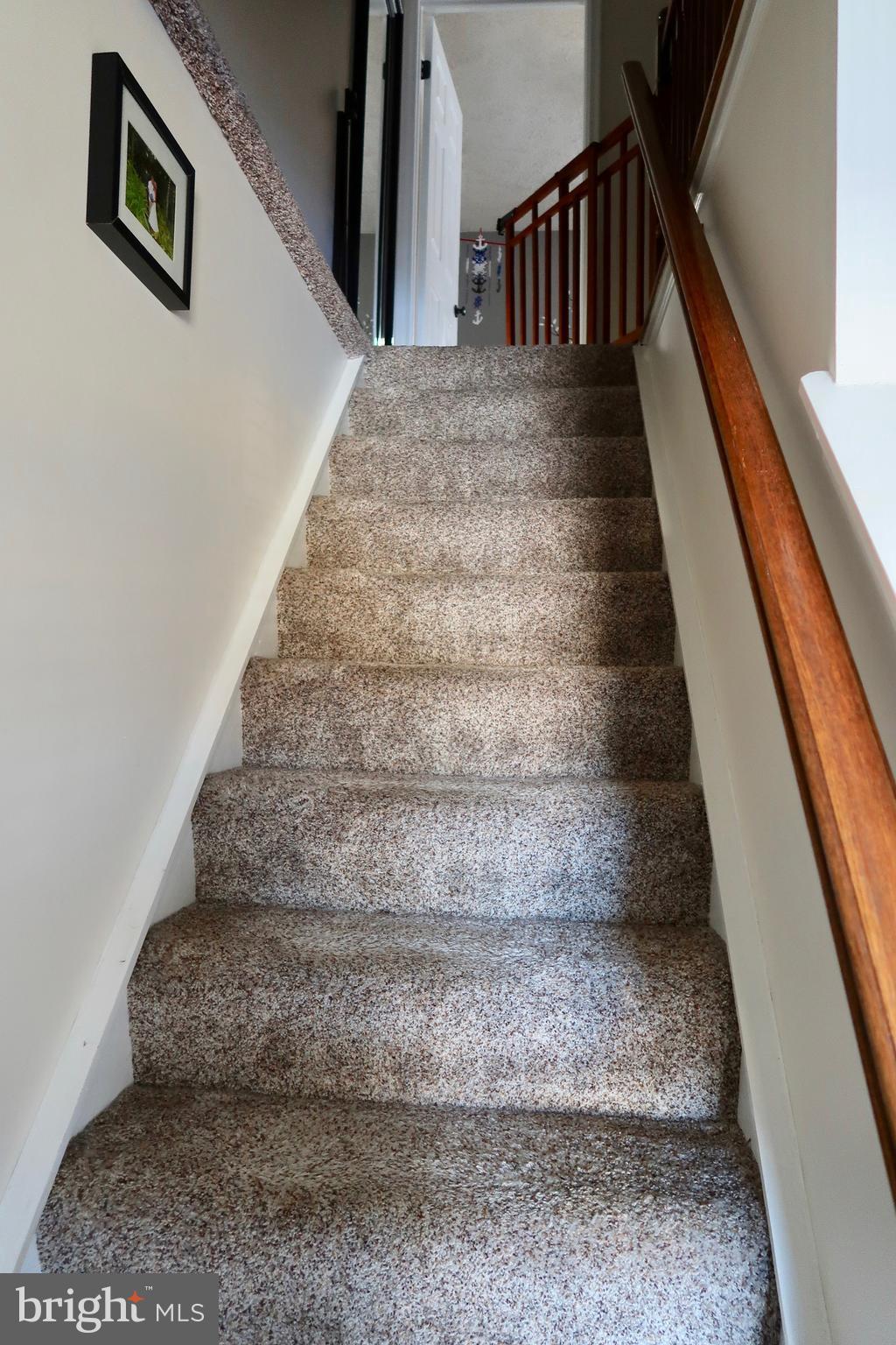 8512 Golden Ridge Court Lorton, VA 22079 - Photo 10 of 28 Lush new carpet to Upper Level