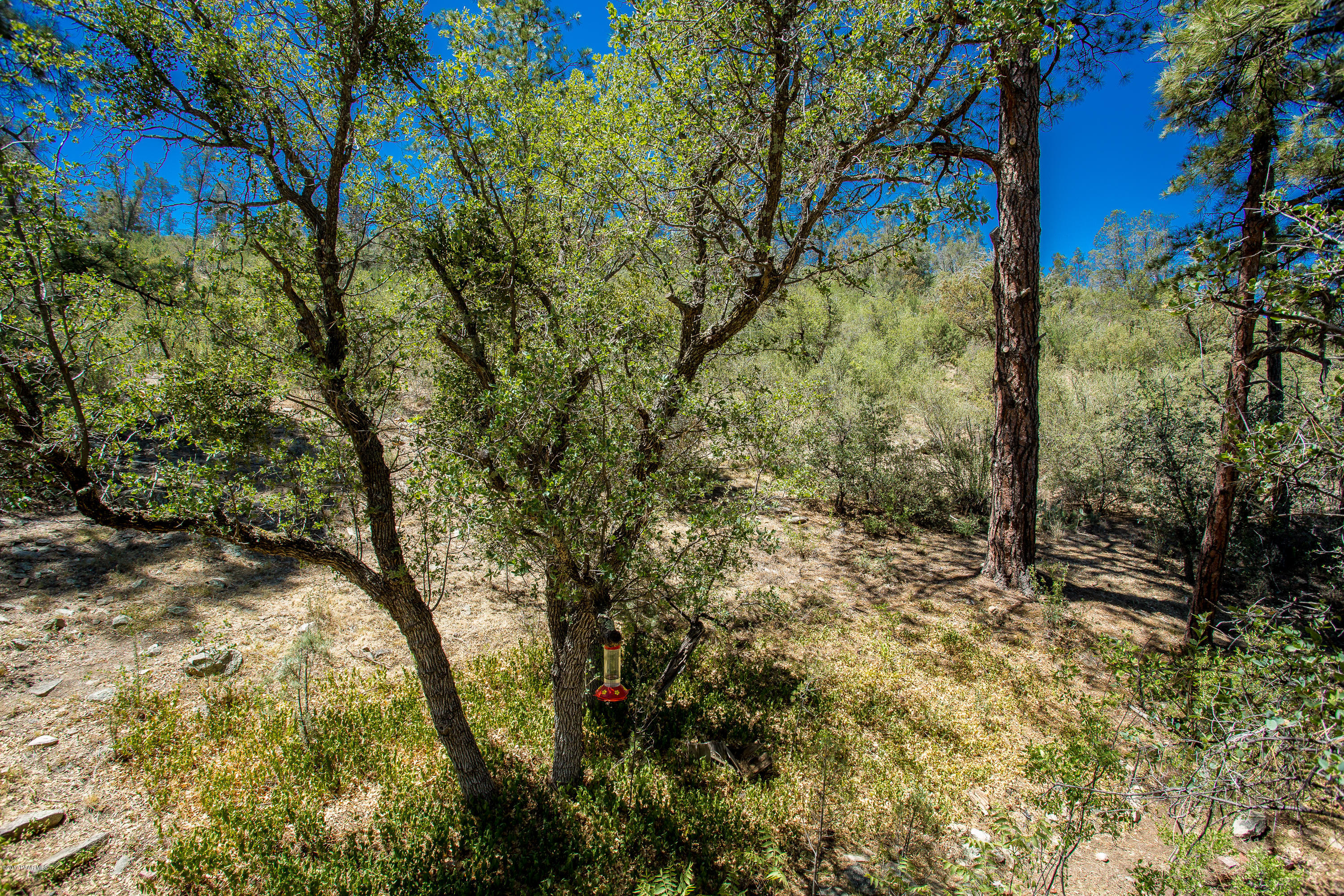 2555 Shadow Valley Ranch Road Prescott, AZ 86305 - Photo 27 of 33 016_View