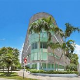 a picture of palm trees