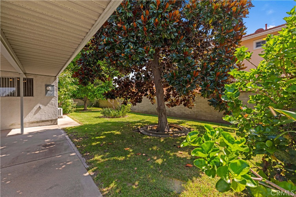 2701 Warren Way Arcadia, CA 91007 - Photo 24 of 30 a tree in the garden of a house
