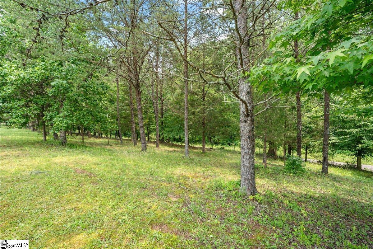 117 Turkey Run Pickens, SC 29671 - Photo 42 of 49