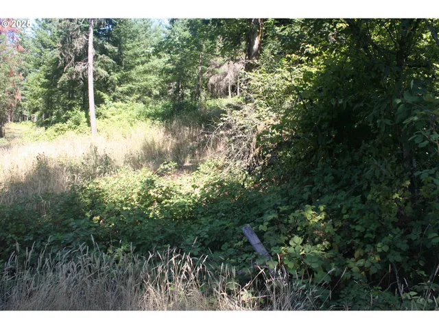a view of lake with green space