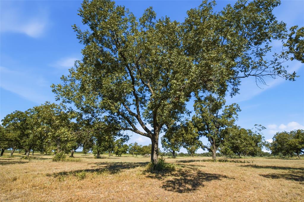 Tbd Clary Road Millsap, TX 76066 - Photo 10 of 16 Gallery Image 10