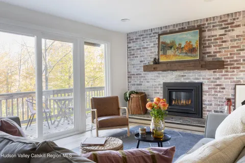 a living room with furniture potted plant and a fireplace