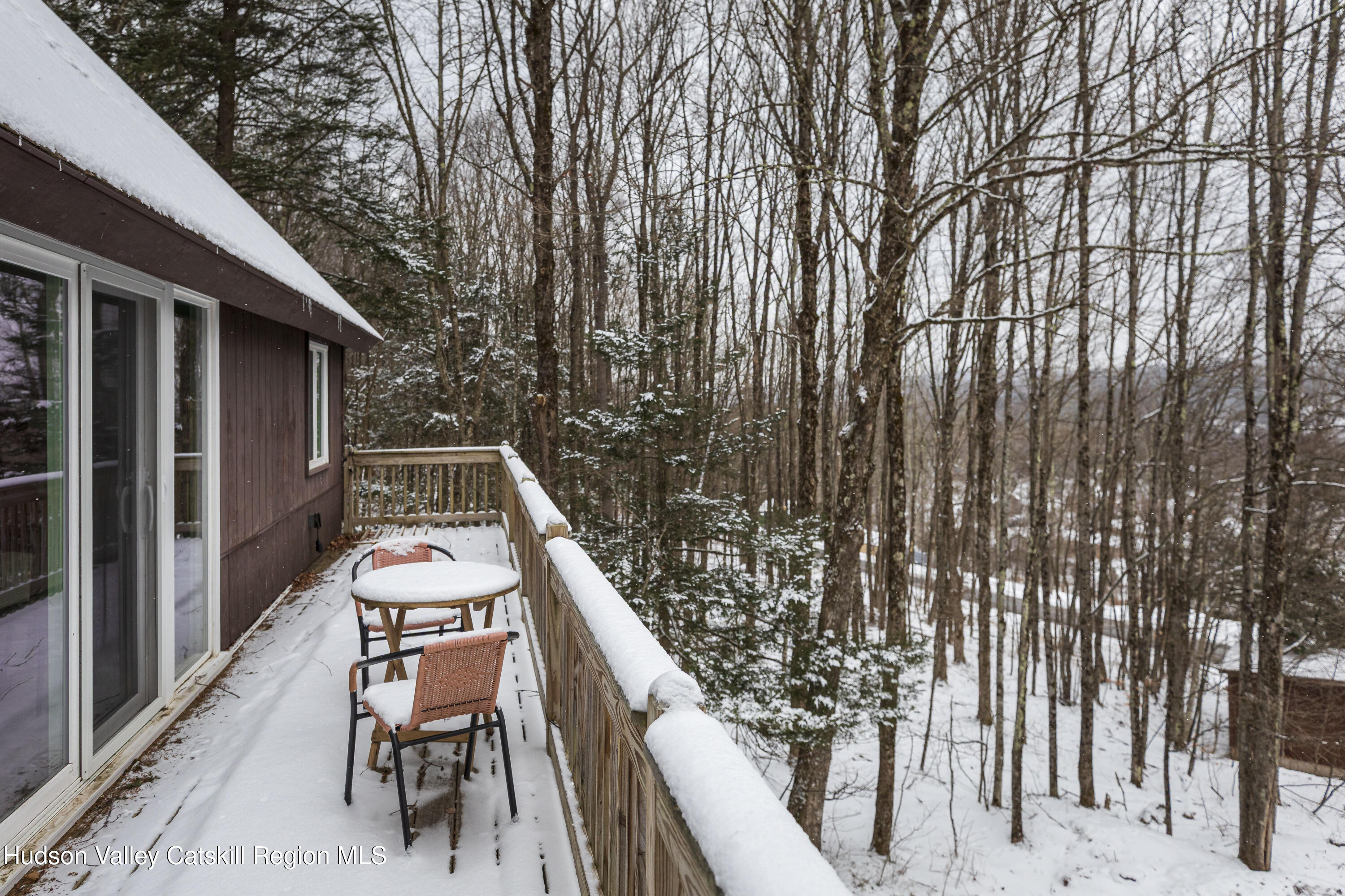 6 Clearview Road Hunter, NY 12442 - Photo 16 of 32 20260104_ClearVw_015