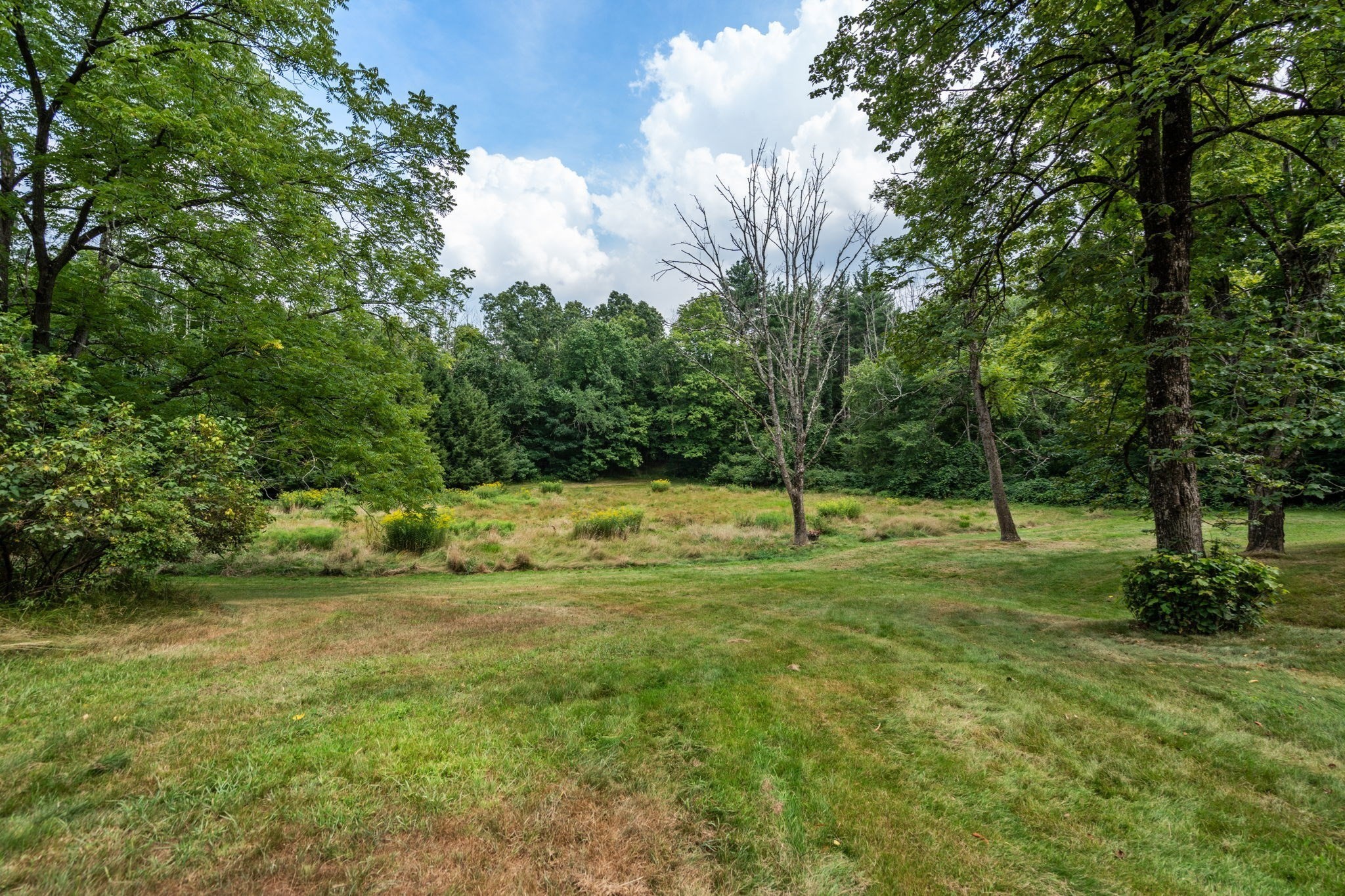 473 Concord Road Weston, MA 02493 - Photo 7 of 10 Gallery Image 7