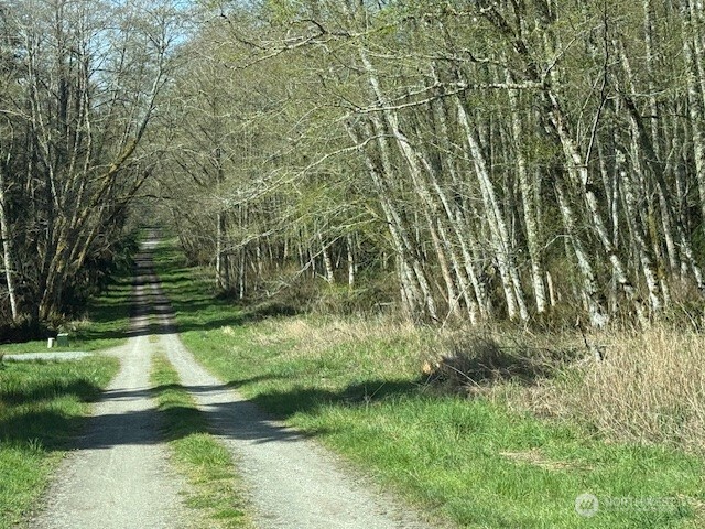 21 Ander Park Road Freeland, WA 98249 - Photo 4 of 4