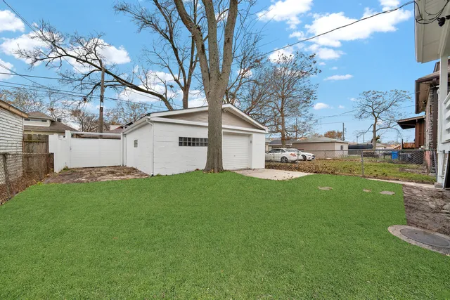 a view of a backyard with plants and large tree