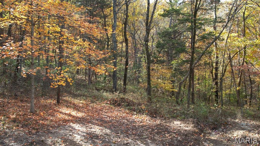 8002 Dittmer Ridge Road Dittmer, MO 63023 - Photo 36 of 42