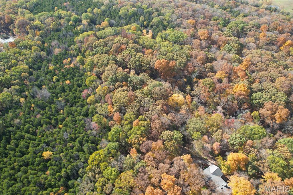 8002 Dittmer Ridge Road Dittmer, MO 63023 - Photo 40 of 42