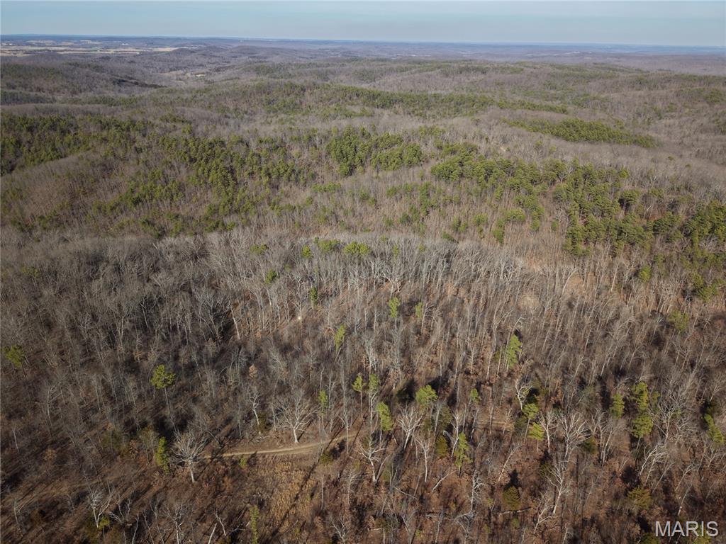2 Bidwell Creek Road Fredericktown, MO 63645 - Photo 11 of 22