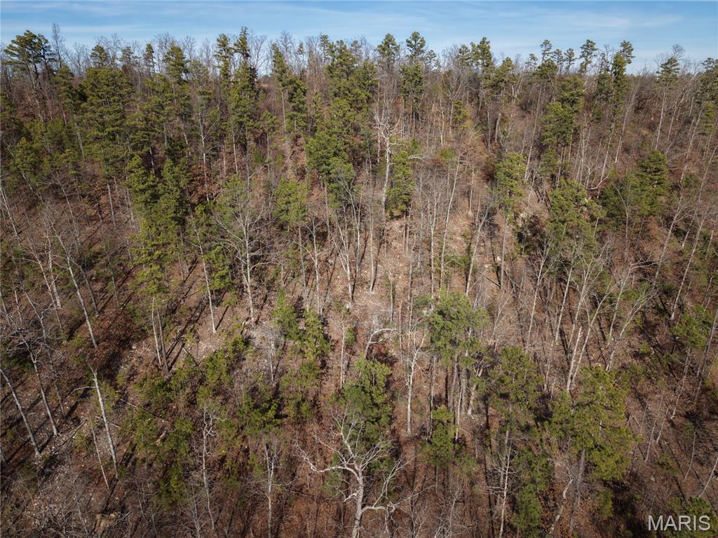 2 Bidwell Creek Road Fredericktown, MO 63645 - Photo 13 of 22