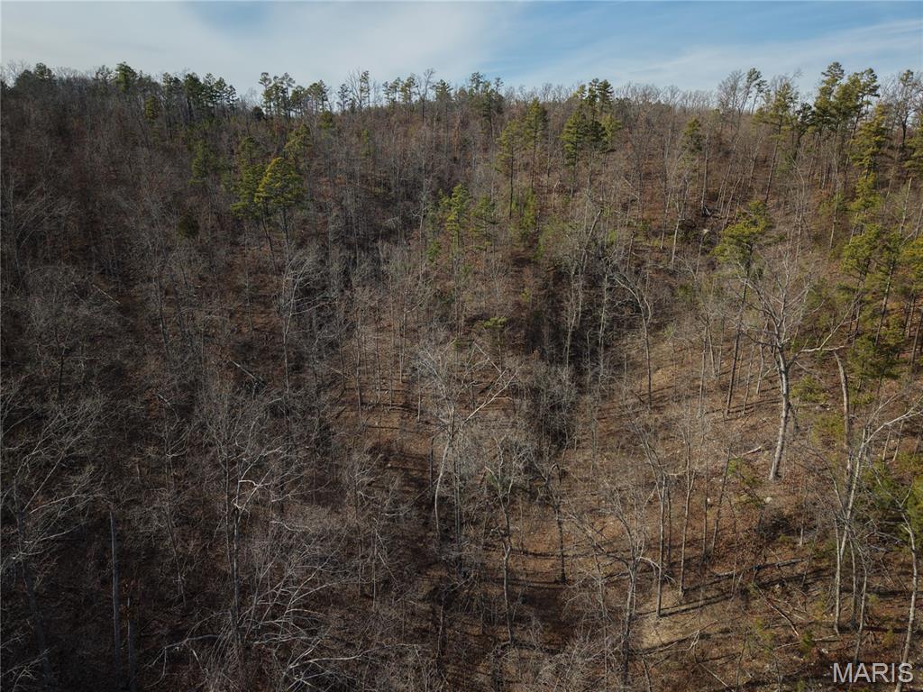 2 Bidwell Creek Road Fredericktown, MO 63645 - Photo 14 of 22