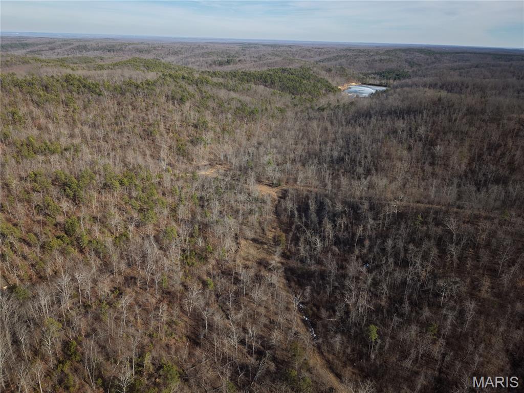 2 Bidwell Creek Road Fredericktown, MO 63645 - Photo 16 of 22