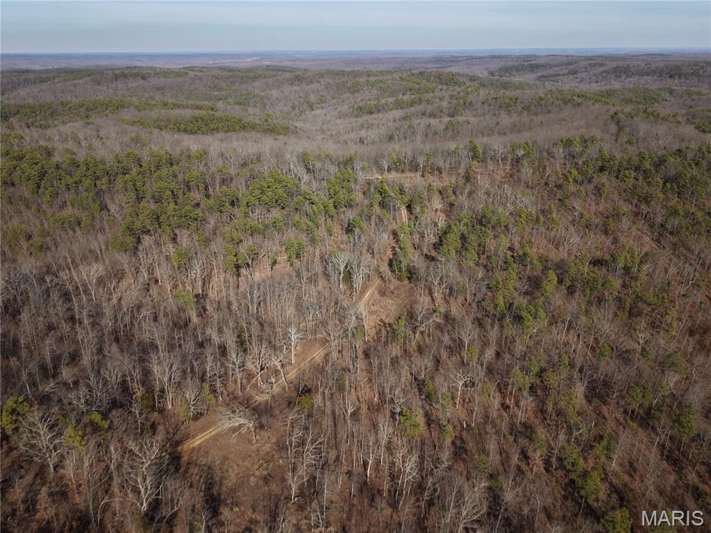 2 Bidwell Creek Road Fredericktown, MO 63645 - Photo 17 of 22