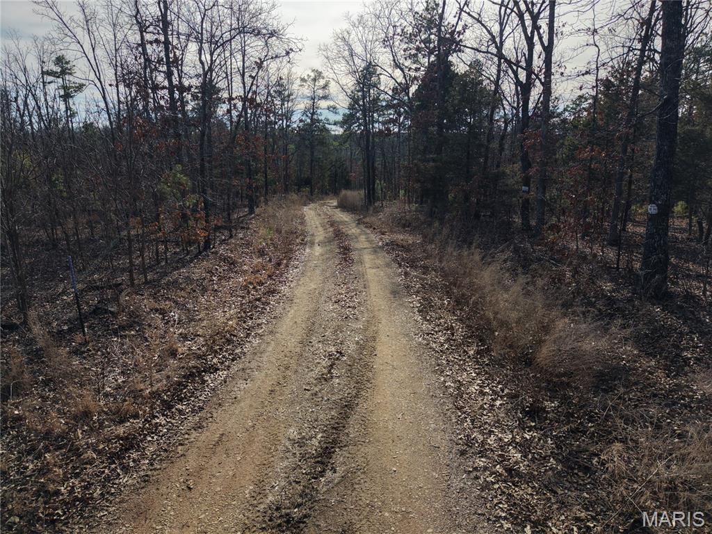 2 Bidwell Creek Road Fredericktown, MO 63645 - Photo 2 of 22