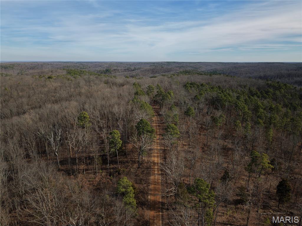 2 Bidwell Creek Road Fredericktown, MO 63645 - Photo 5 of 22