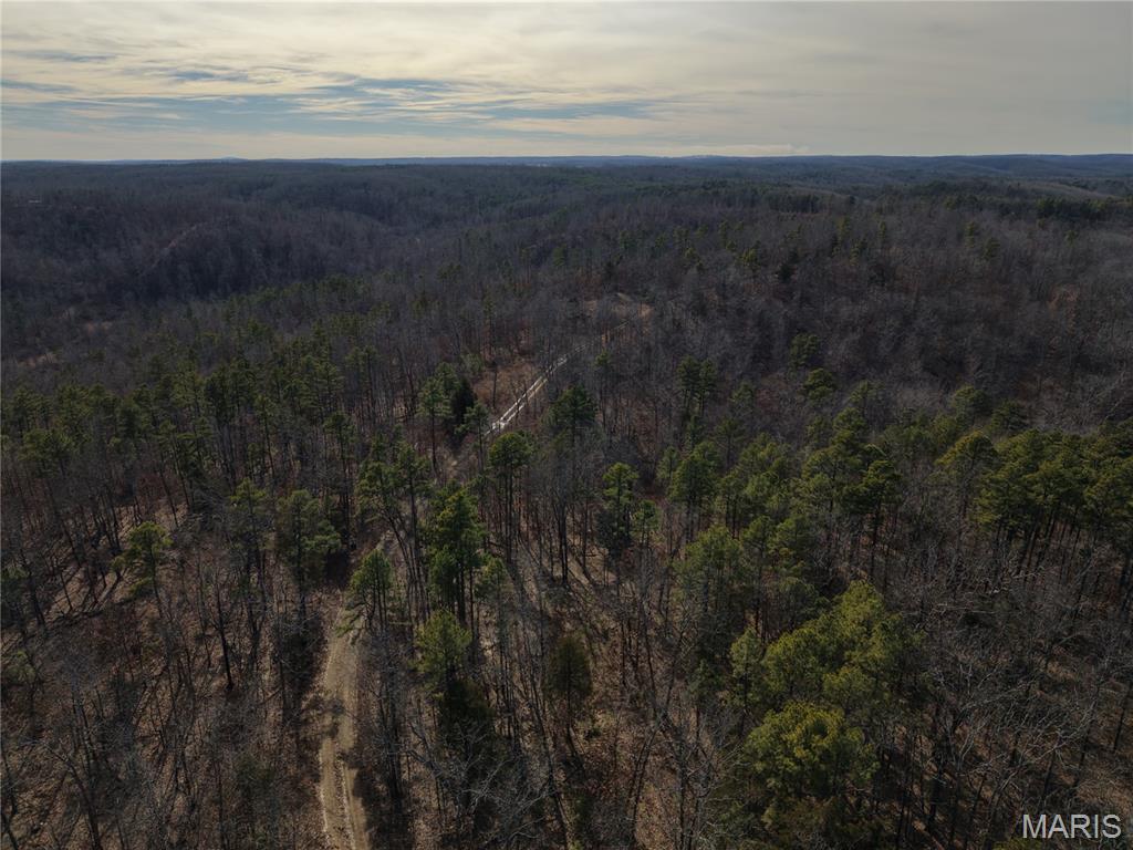 2 Bidwell Creek Road Fredericktown, MO 63645 - Photo 6 of 22