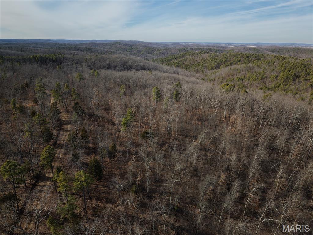 2 Bidwell Creek Road Fredericktown, MO 63645 - Photo 8 of 22
