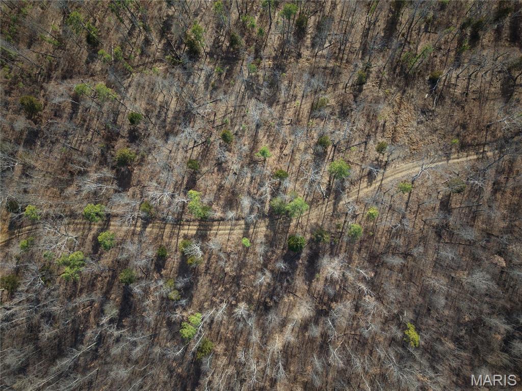 2 Bidwell Creek Road Fredericktown, MO 63645 - Photo 9 of 22