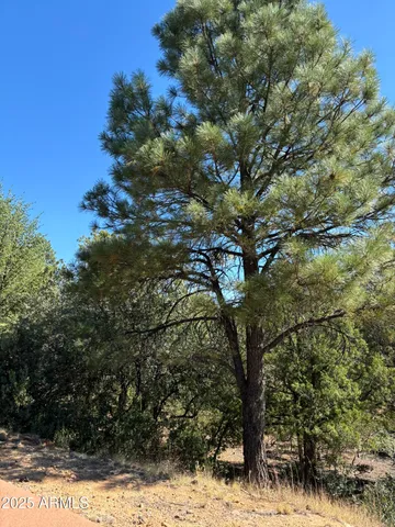 $39,900 | 901 North Scenic Drive, Unit 80, Payson, AZ 85541