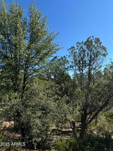 $39,900 | 901 North Scenic Drive, Unit 80, Payson, AZ 85541