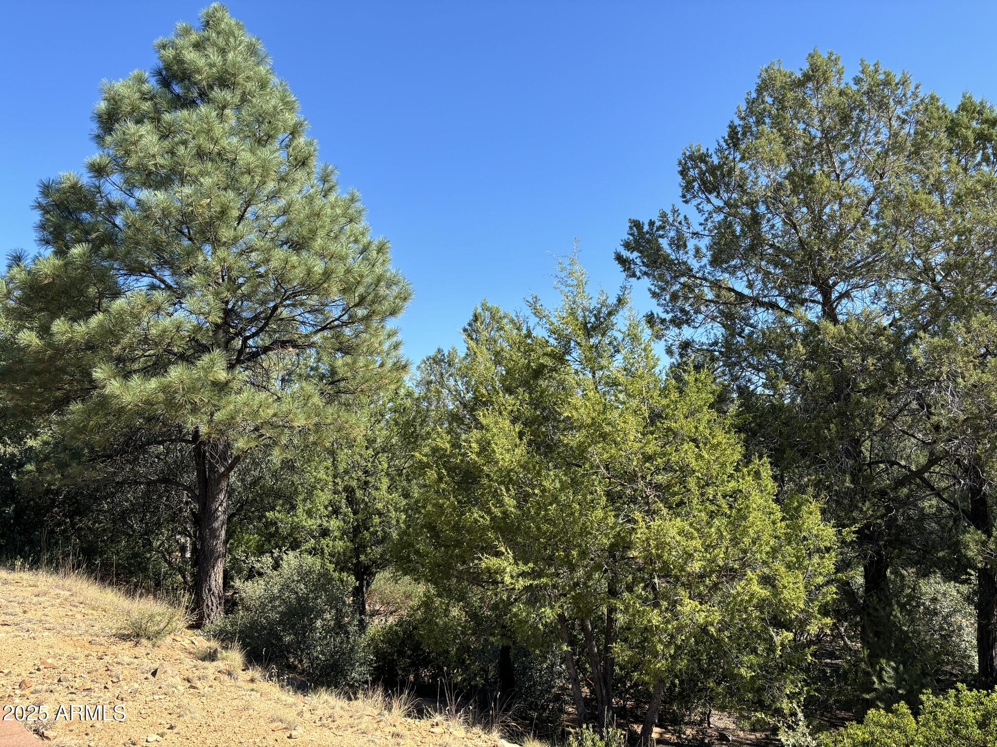 901 North Scenic Drive, Unit 80 Payson, AZ 85541 - Photo 6 of 20 IMG_0151