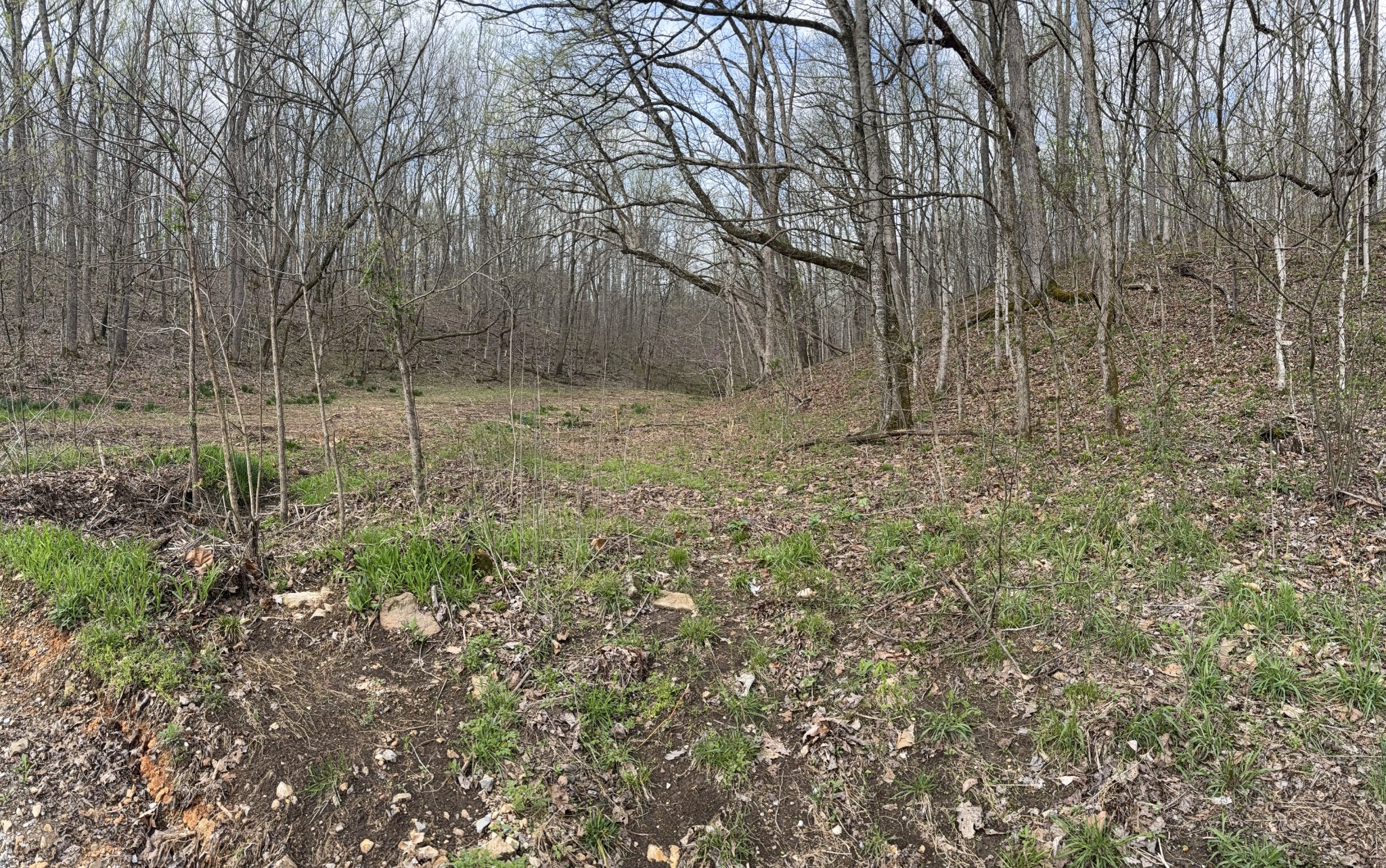 0 Lowery Cemetery Road Cumberland City, TN 37050 - Photo 3 of 12 Gallery Image 3