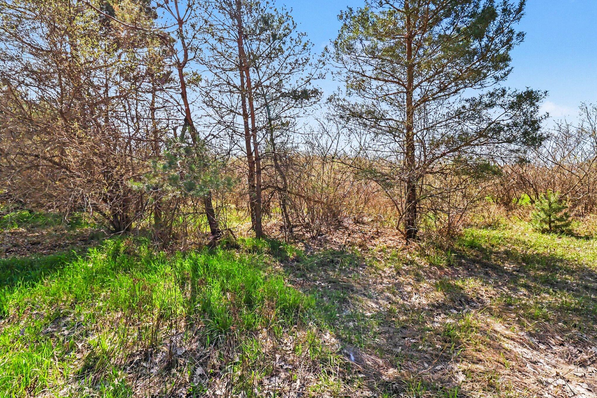 23 A Sass Road Manistee, MI 49660 - Photo 5 of 16 Variety of trees