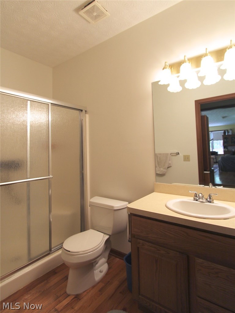 6276 Stone Road Hudson, OH 44236 - Photo 12 of 26 Main bath with walk-in shower